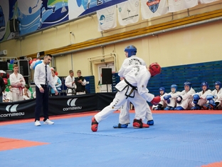 Чемпионат и Первенство Санкт-Петербурга по тхэквондо ИТФ 14-15.12.2024-60