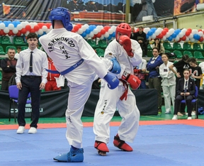Чемпионат и Первенство Санкт-Петербурга по тхэквондо ИТФ 14-15.12.2024-248