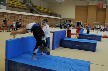 Мастер-класс по спортивной гимнастике «Сальто за одно занятие»