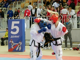 Чемпионат и первенство России 2026 по тхэквондо ИТФ-9