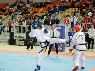 Чемпионат и первенство России 2026 по тхэквондо ИТФ-10