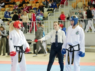 Чемпионат и первенство России 2026 по тхэквондо ИТФ-14
