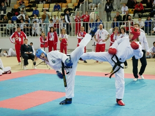 Чемпионат и первенство России 2026 по тхэквондо ИТФ-29