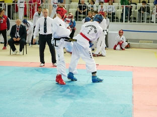 Чемпионат и первенство России 2026 по тхэквондо ИТФ-66