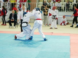 Чемпионат и первенство России 2026 по тхэквондо ИТФ-67