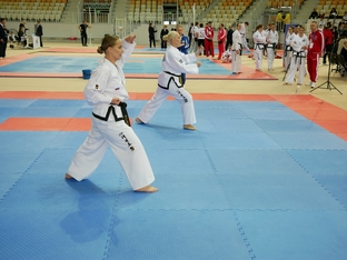 Чемпионат и первенство России 2026 по тхэквондо ИТФ-83