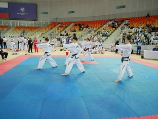Чемпионат и первенство России 2026 по тхэквондо ИТФ-87