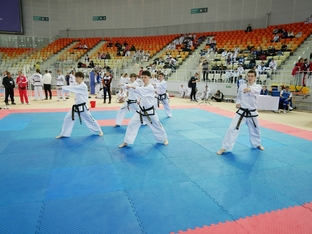 Чемпионат и первенство России 2026 по тхэквондо ИТФ-88