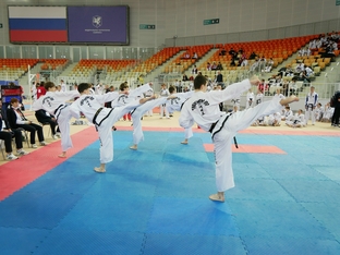 Чемпионат и первенство России 2026 по тхэквондо ИТФ-95