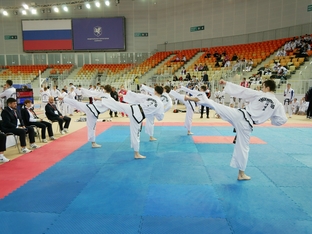 Чемпионат и первенство России 2026 по тхэквондо ИТФ-96