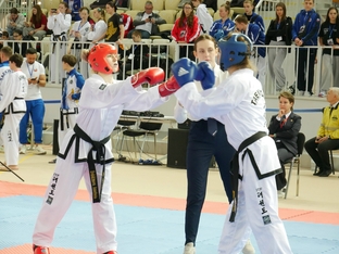 Чемпионат и первенство России 2026 по тхэквондо ИТФ-108