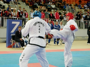 Чемпионат и первенство России 2026 по тхэквондо ИТФ-113