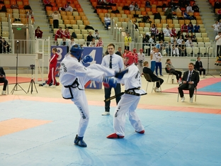 Чемпионат и первенство России 2026 по тхэквондо ИТФ-116