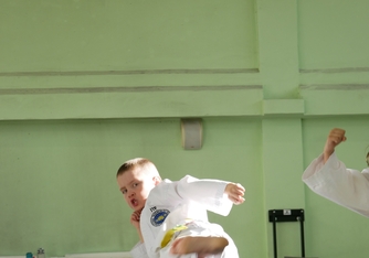 Аттестация на цветные пояса-100